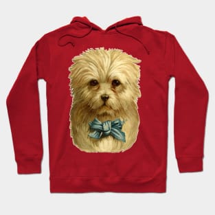 Cute Vintage Dog Illustration / Dog Lover Gift Hoodie